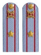 Погоны Полиции картон голубые Майор 12 см