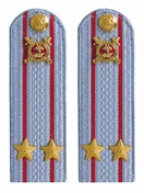 Погоны Полиции картон голубые Подполковник 12 см