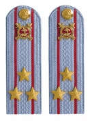 Погоны Полиции картон голубые Полковник 12 см