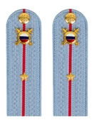 Погоны МВД внутренняя служба на рубашку голубые картон Младший лейтенант 12см