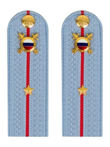 Погоны МВД внутренняя служба на рубашку голубые картон Младший лейтенант 12см