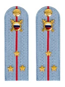 Погоны МВД внутренняя служба на рубашку голубые картон Старший лейтенант 12см