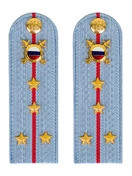 Погоны МВД внутренняя служба на рубашку голубые картон Капитан 12см