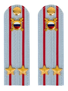 Погоны МВД внутренняя служба на рубашку голубые картон Подполковник 12см
