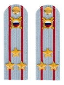 Погоны МВД внутренняя служба на рубашку голубые картон Полковник 12см