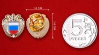 Миниатюрная эмблема ФСО №411