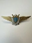 Нагрудный знак Классность ВВС, ВКС 1 класс