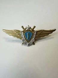 Нагрудный знак Классность ВВС, ВКС 1 класс