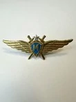 Нагрудный знак Классность ВВС, ВКС Мастер