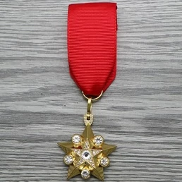 Маршальская звезда на подвеске (на булавке на грудь) 1 тип