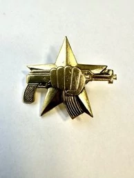 Знак сувенирный Спецназ ВНГ Росгвардии кулак с автоматом
