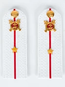 Погоны Полиции на рубашку белые звание Младший лейтенант Картон 15см