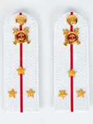 Погоны Полиции на рубашку белые звание Старший лейтенант Картон 15см