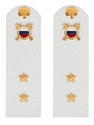 Погоны МВД внутренняя служба на рубашку белые КАРТОН Звание Прапорщик 15см