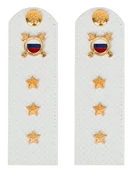 Погоны МВД внутренняя служба на рубашку белые КАРТОН Звание Старший Прапорщик 15см