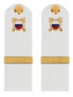 Погоны МВД внутренняя служба на рубашку белые КАРТОН Звание Ефрейтор 15см