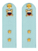 Погоны МВД внутренняя служба на рубашку голубые КАРТОН Звание Прапорщик 15см