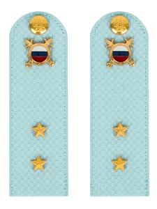 Погоны МВД внутренняя служба на рубашку голубые КАРТОН Звание Прапорщик 15см