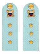 Погоны МВД внутренняя служба на рубашку голубые КАРТОН Звание Старший Прапорщик 15см