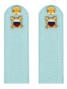 Погоны МВД внутренняя служба на рубашку голубые КАРТОН Звание Рядовой 15см