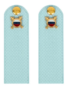 Погоны МВД внутренняя служба на рубашку голубые КАРТОН Звание Рядовой 15см