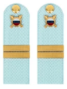 Погоны МВД внутренняя служба на рубашку голубые КАРТОН Звание Младший Сержант 15см