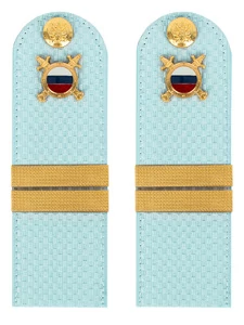 Погоны МВД внутренняя служба на рубашку голубые КАРТОН Звание Младший Сержант 15см