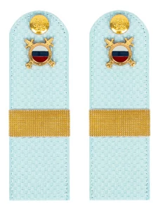 Погоны МВД внутренняя служба на рубашку голубые КАРТОН Звание Старший Сержант 15см