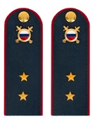 Погоны МВД внутренняя служба темно-синие КАРТОН Звание Прапорщик 15см
