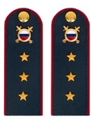 Погоны МВД внутренняя служба темно-синие КАРТОН Звание Старший Прапорщик 15см
