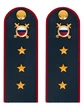Погоны МВД внутренняя служба темно-синие КАРТОН Звание Старший Прапорщик 15см