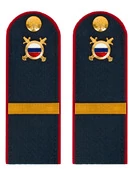 Погоны МВД внутренняя служба темно-синие КАРТОН Звание Ефрейтор 15см