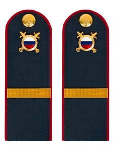 Погоны МВД внутренняя служба темно-синие КАРТОН Звание Ефрейтор 15см