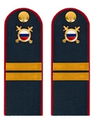 Погоны МВД внутренняя служба темно-синие КАРТОН Звание Младший Сержант 15см