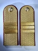 Погоны ФСИН золотые звание Сержант картон 14х5 см