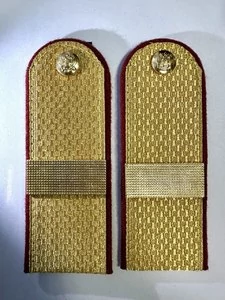 Погоны ФСИН золотые звание Старший Сержант картон 14х5 см