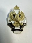 Знак нагрудный Кадеты России тип 2 с черной лентой