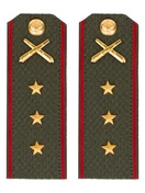 Погоны МО РВиА зеленые звание Старший прапорщик Пластик