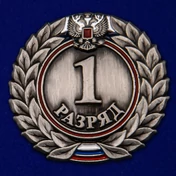 Знак 1-й разряд №523