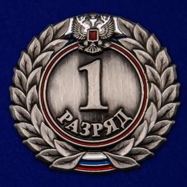 Знак 1-й разряд №523