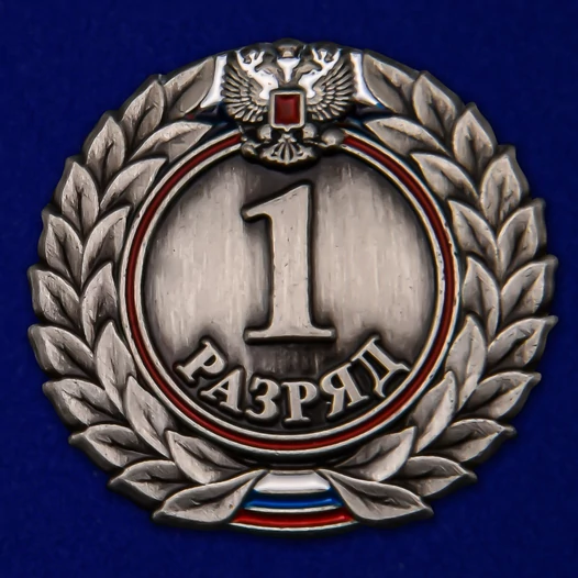 Знак 1-й разряд №523