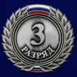 Знак 3-й разряд №486