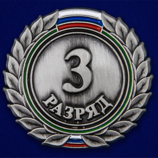 Знак 3-й разряд №486