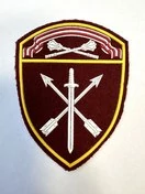 Шеврон Росгвардия Северо-Западный округ (стрелы/меч) краповый пластизоль