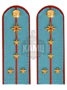 Погоны МЧС голубые на рубашку ПЛАСТИК Звание Капитан