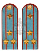 Погоны МЧС голубые на рубашку ПЛАСТИК Звание Полковник