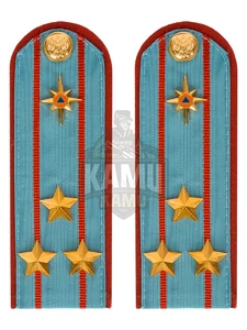 Погоны МЧС голубые на рубашку ПЛАСТИК Звание Полковник