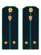 Погоны Прокуратуры темно-синие КАРТОН 13см Звание Лейтенант