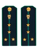 Погоны Прокуратуры темно-синие КАРТОН 13см Звание Капитан