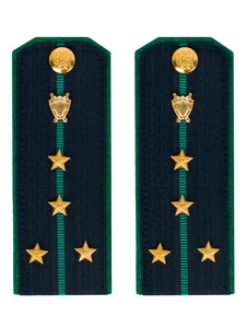 Погоны Прокуратуры темно-синие КАРТОН 13см Звание Капитан